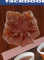 cabane-a-sucre-vachon-cabane-a-sucre-en-beauce005001.gif